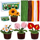 Pipe Cleaners, Pipe Cleaner Flower Craft Kit, Pipe