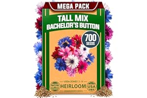 HOME GROWN Bachelor Button Flower Seeds Tall Mix 700+ Cornflower Heirloom Seeds for Planting - Quick Blooming, Non-GMO, Pollinator Friendly, Easy to Grow Wildflowers USA Grown (Centaurea cyanus)