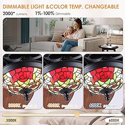 50 Inch Outdoor Waterproof Ceiling Fan with Light