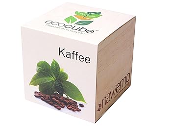 Ecocube Kaffee im Holzwürfel