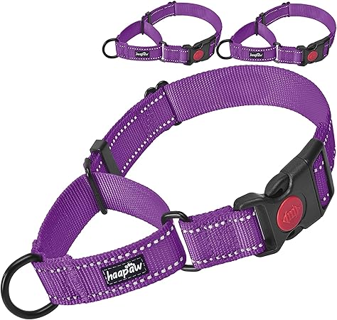 quick release martingale dog collar