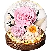 Eaprala Gifts for Her Preserved Flower Rose in Glass Dome Gifts for Women Mom Wife on Birthday Chrismas,Home Decoration.Pink