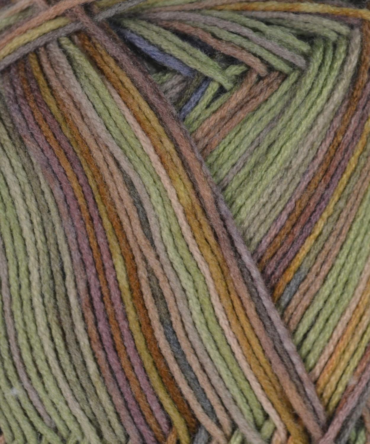 Amazon Com Berroco Comfort Sock Print Yarn 1810 Invercargill