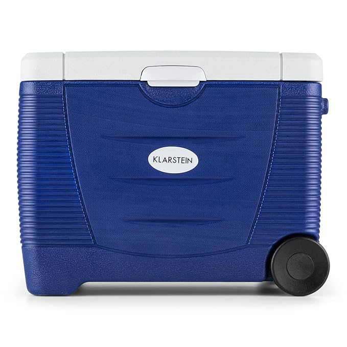 KLARSTEIN Herrenhandtasche Nevera portátil termoeléctrica ...