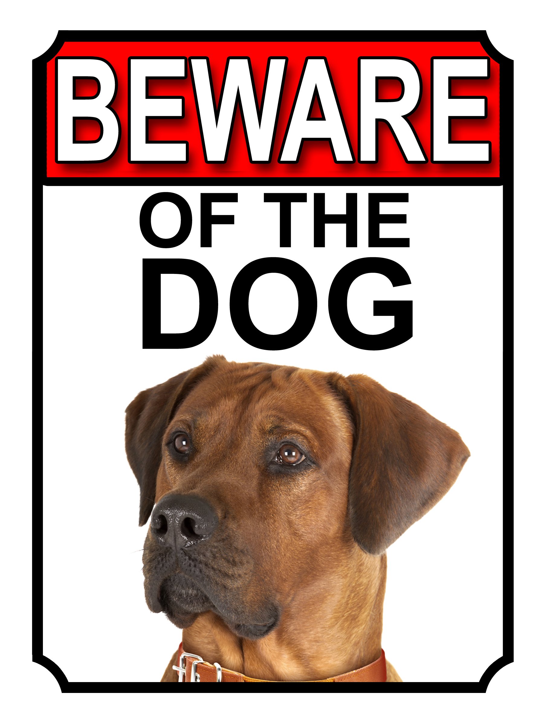 Shawprint Limited BEWARE OF THE DOG METAL GATE SIGN RHODESIAN RIDGEBACK 200MM X 150MM (1144H1)
