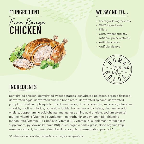 THE HONEST KITCHEN DEHYDRATED GRAIN FREE CHICKEN CAT FOOD, SINGLE SERVE PACK, 1 OZ X10