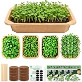 Microgreens Growing Kit Indoor Garden - Complete Micro Greens Growing Kits with 5 Seed Packs - Grow Broccoli, Arugula, Kale, Cabbage, Radish with Waterproof Trays - Grow Microgreens Indoor for Health