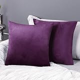 Deconovo Velvet Cushion Covers Set of 2 50x50 cm Purple 20x20 in