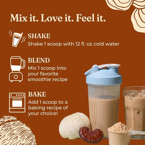 FOUR SIGMATIC ORGANIC PLANT-BASED PROTEIN POWDER | CLEAN VEGAN PROTEIN ELEVATED WITH LION’S MANE, CHAGA, CORDYCEPS AND MORE FOR BRAIN FUNCTION AND IMMUNE SUPPORT | PEANUT BUTTER, 21.16 OZ