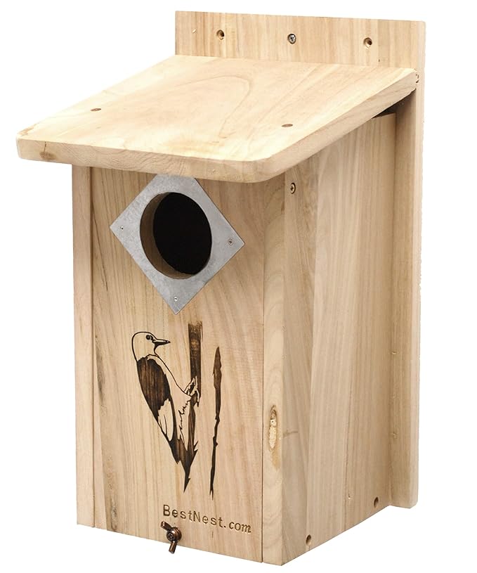 BestNest Classic ThreeWoodpecker House Review