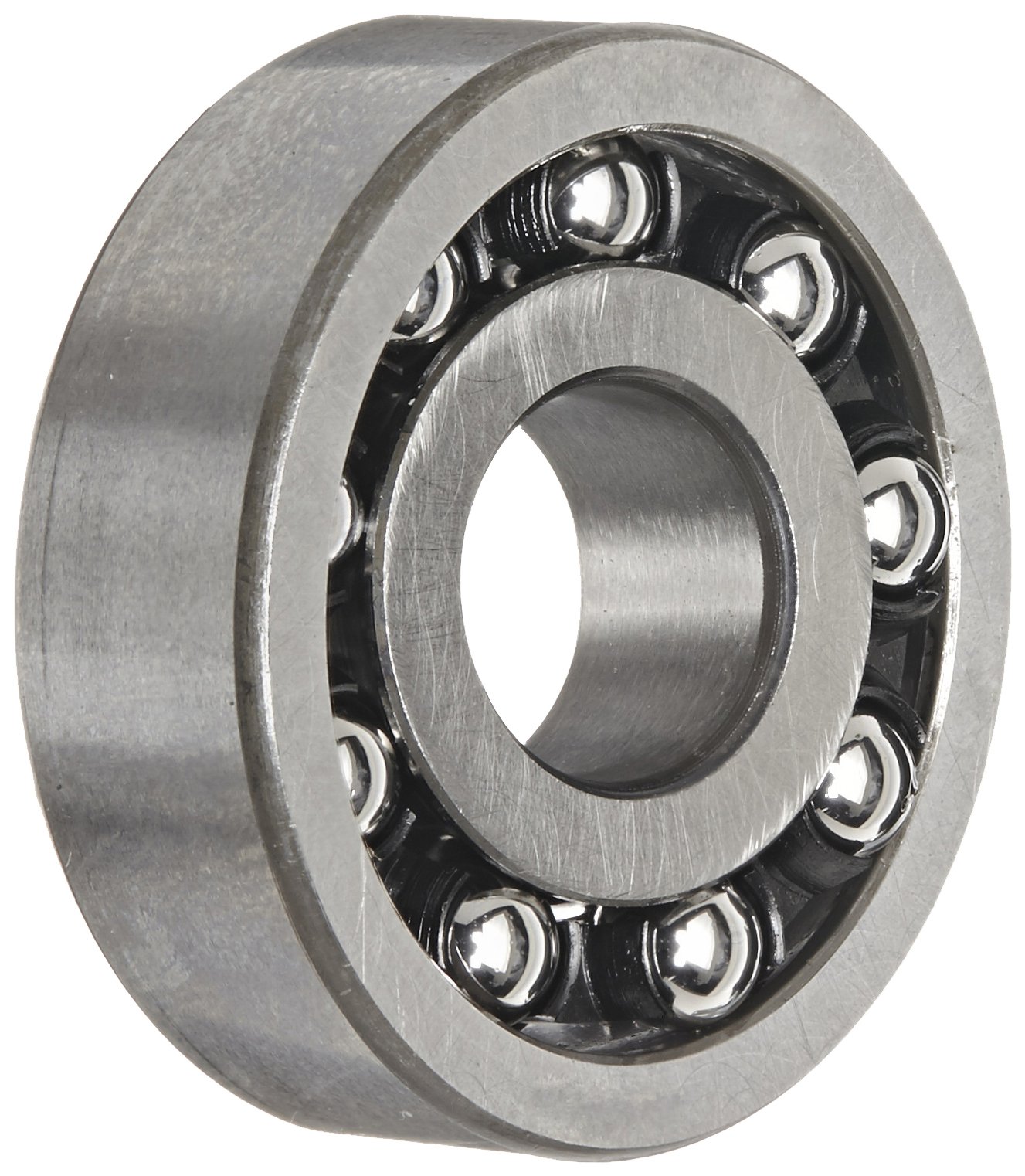 SKF 129 TN9 Self-Aligning Ball Bearing