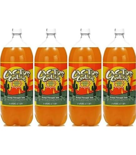 Amazon.com : Cactus Cooler Orange Pineapple Soda Pop : Soda Soft Drinks :  Grocery & Gourmet Food