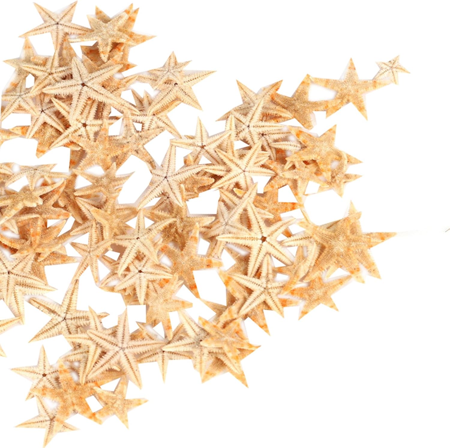 Vase Fillers - Ogrmar Small Starfish Star Sea Shell Beach Craft 0.4
