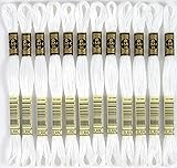 Dmc 6-Strand Embroidery Cotton 8.7yd-White