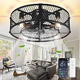 Depuley Caged Ceiling Fan with Light: 20" Flush Mount Ceiling Fans with Remote - Farmhouse Black Fandelier - Industrial Ceili