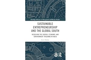 Sustainable Entrepreneurship and the Global South: Resolving the Energy, Economy, and Environment Trilemma in India (Routledg