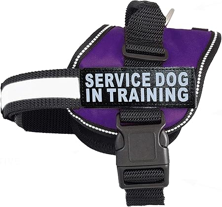 amazon service dog vest
