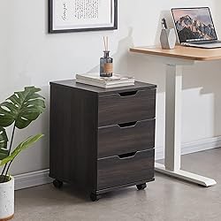 Farini 3-Drawer Vertical Filing Cabinet Rolling