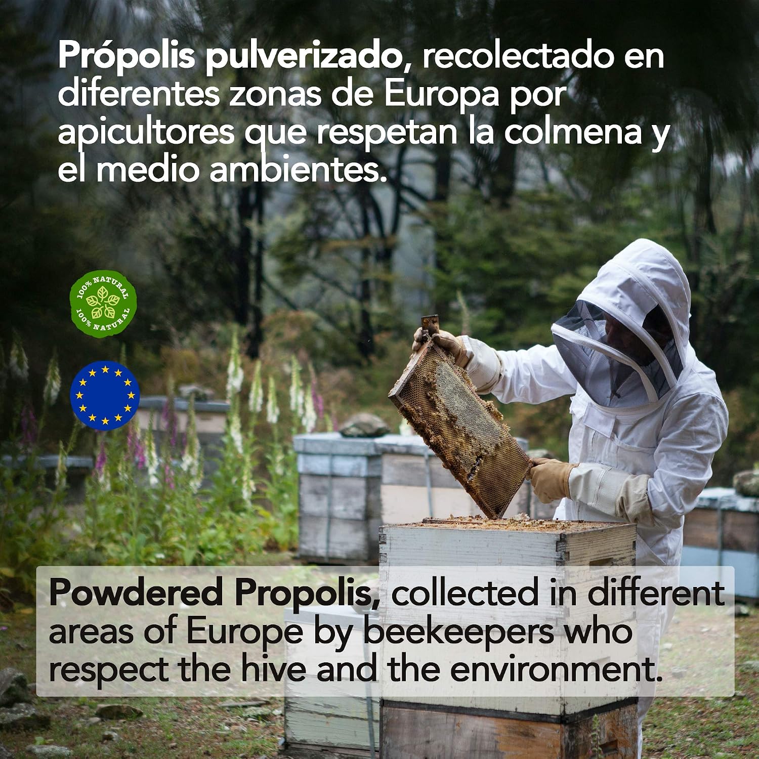 Pure Powdered Propolis (100g). Propolis Straight from the Beekeeper. (Cames as compacted Plain disc), 100 g (Pack of 1) - Image 3