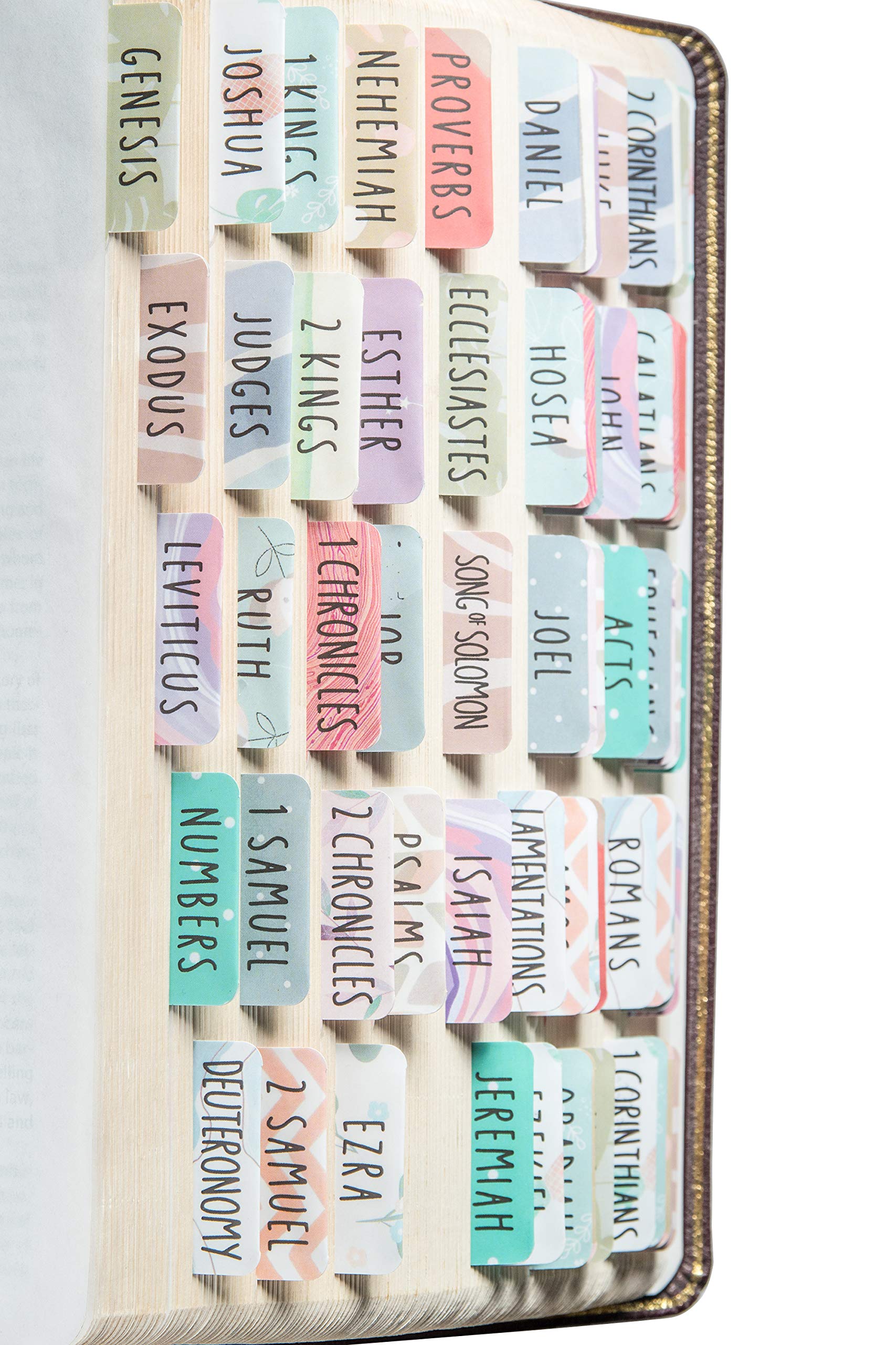 Mua DiverseBee Laminated Bible Tabs (Large Print, Easy to Read ...