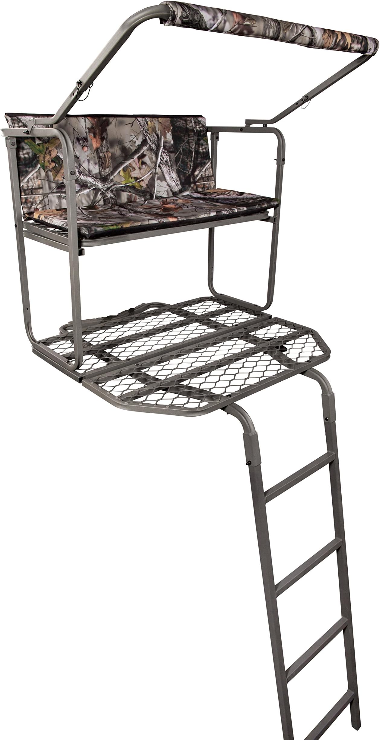 Summit Dual Pro Ladder Stand
