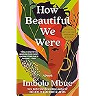 How Beautiful We Were: A Novel