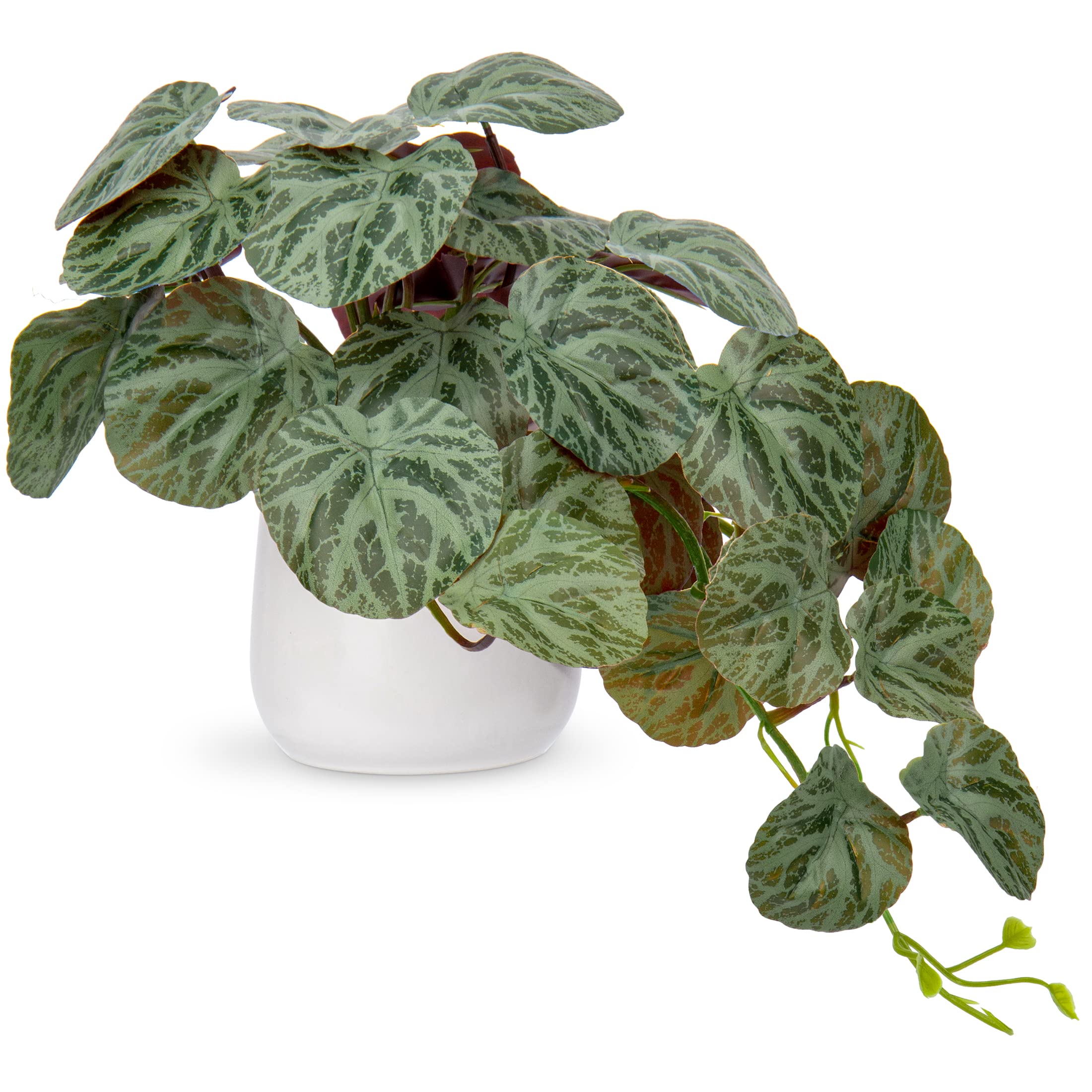 Hollyone Artificial Plants in Ceramic Pots, Fake Begonia Versicolor Decorative Faux Potted Plants, Realistic House Plant Indoor for Home Décor, Bathroom, Living Room, Kitchen, Shelf Decorations
