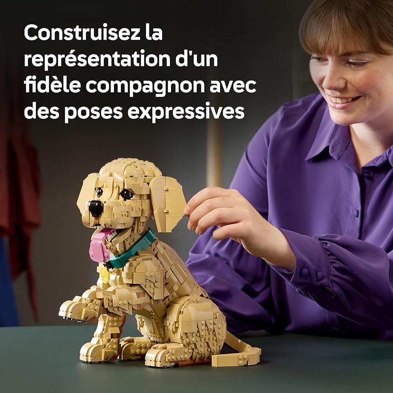 Icons Le Chiot Golden Retriever 11384