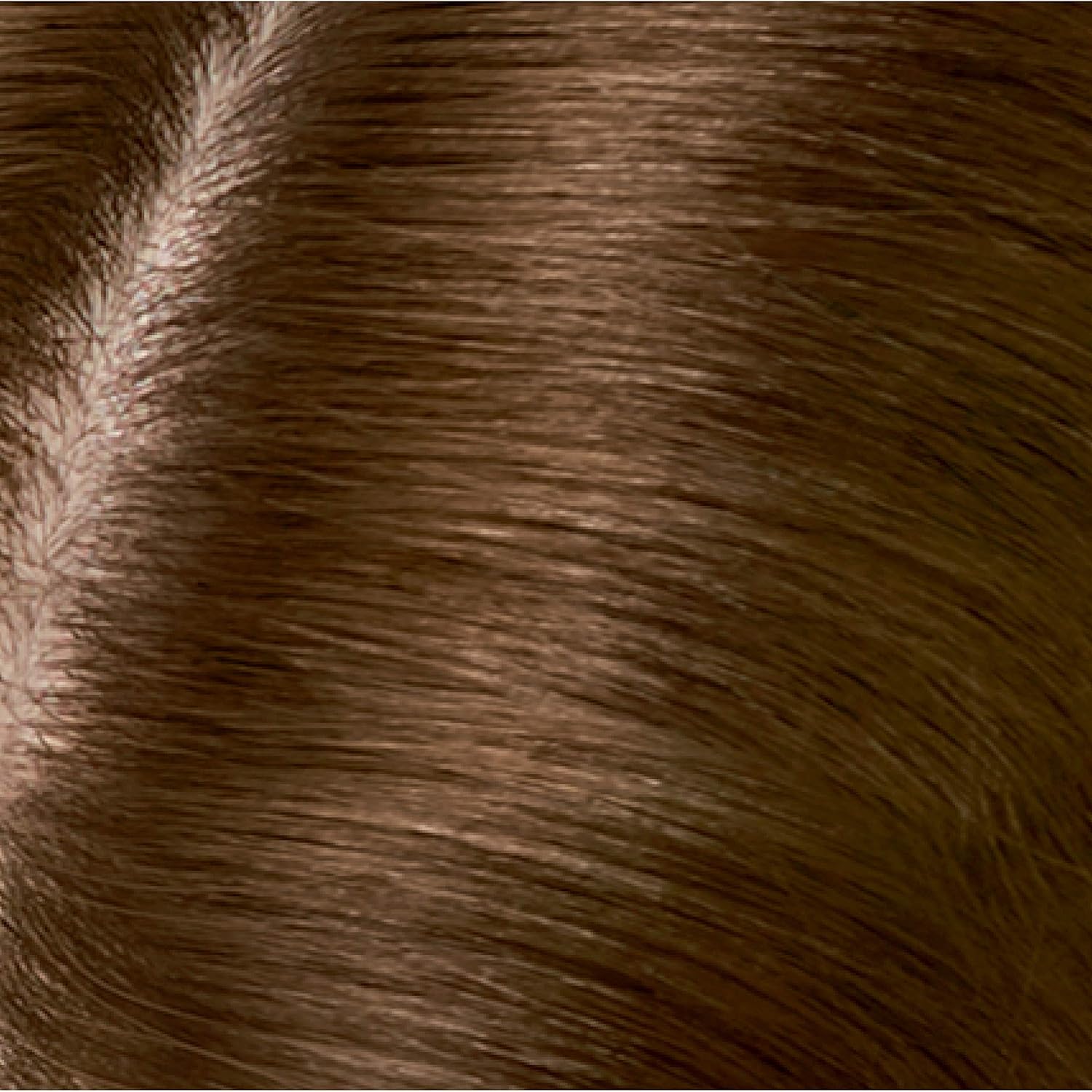 Clairol Clairol Root Touch-Up Color Blending Gel, 5 Medium Brown, 1.5 Fl Oz, Pack of 2 : Beauty