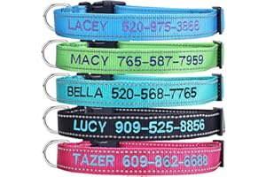 Personalized Dog Collar, Custom Embroidered Pet Name and Phone Number 4 Adjustable Sizes X-Small Small Medium Large Quick Rel