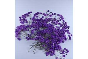 LYFORTZY 50 Branches Purple Pressed Flowers Bulk Dried Flower Kit for Resin , Dried Babys Breath Flower Natural with Tweezer for Crafts Christmas DIY Gift Scrapbooking Photo Props.