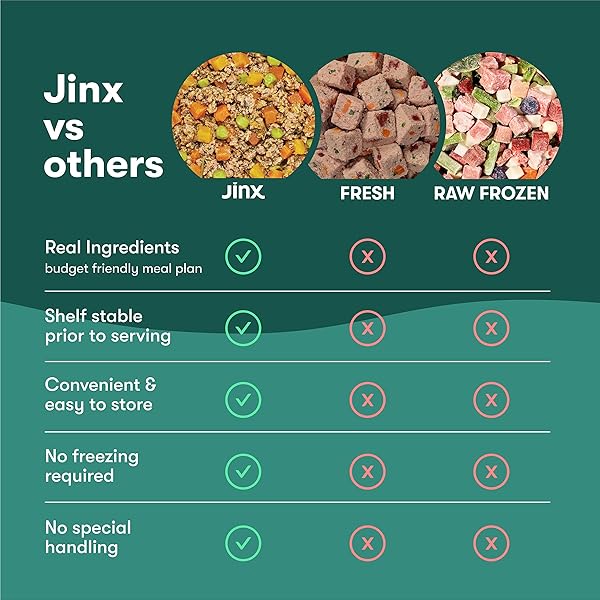 JINX BEEF GRAIN FREE WET DOG FOOD POUCHES, MEAL OR DOG FOOD TOPPER MIX-IN, MADE WITH REAL BEEF & CHICKEN, BONE BROTH, NO FILLERS – PUPPY, ADULT, SENIOR, 9OZ, 6 PACK