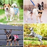 Pet Soft Washable Dog Nappies Female 3Pack XS Incontinence Period Pants view 6