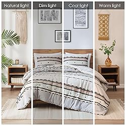 Hyde Lane Boho Queen Comforter Set, Modern