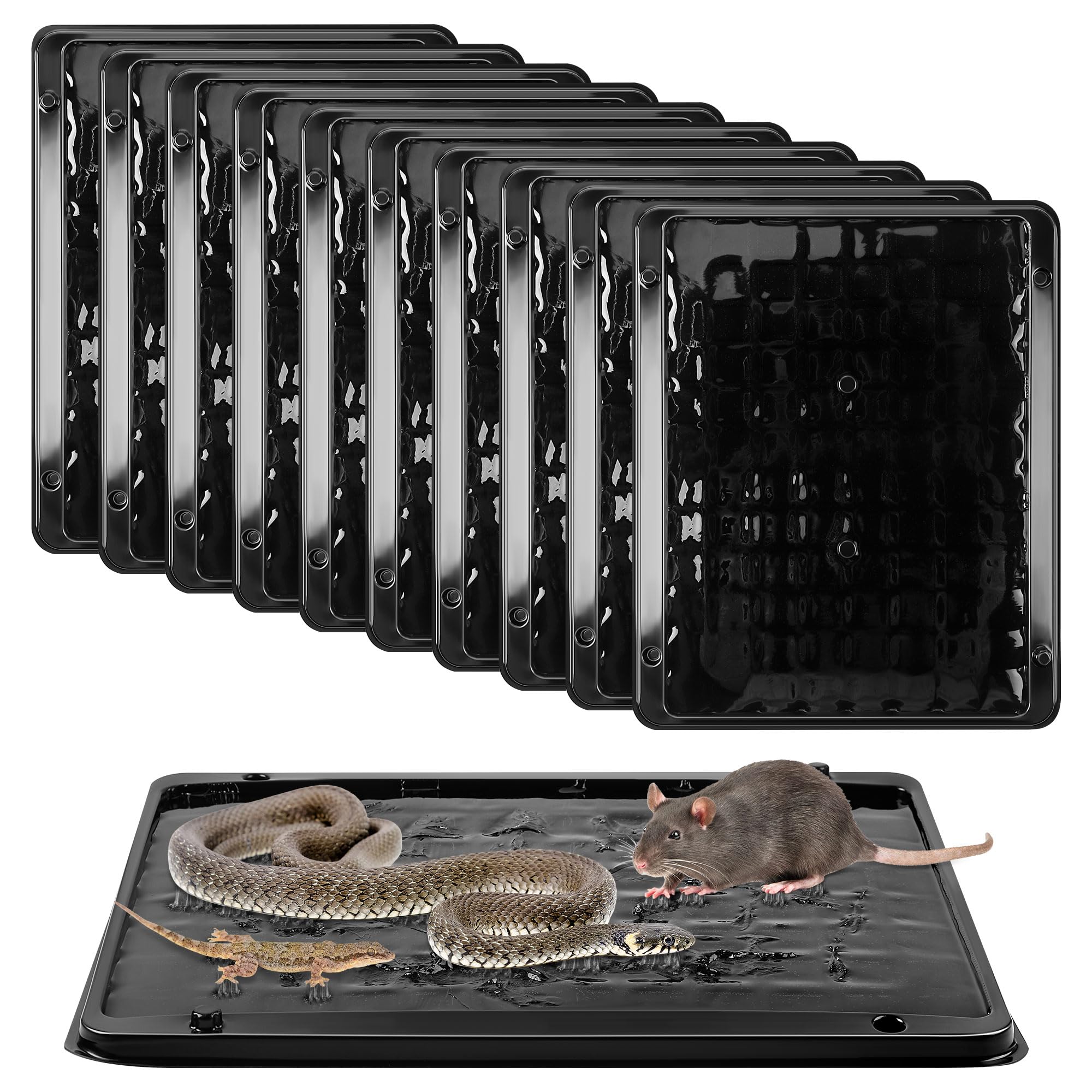 Photo 1 of Qualirey 10 Pack Jumbo Rat & Mouse Glue Traps, Larger and Heavy Duty Mouse Traps Indoor for Home, Pre Scented Adhesive Plastic Tray with for Spider Trap, House, Snake, Mice, Safe to Children and Pet