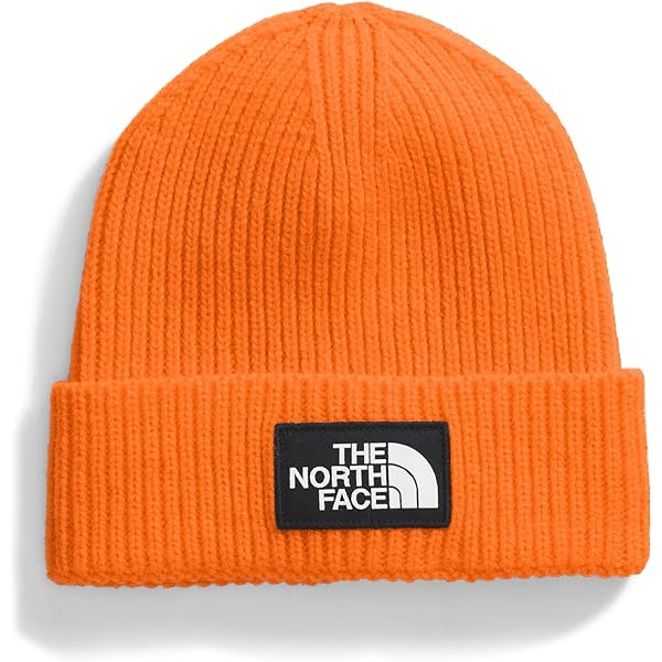 ★THE NORTH FACE Beanie★ NF0A85CW_I0P_2.jpg