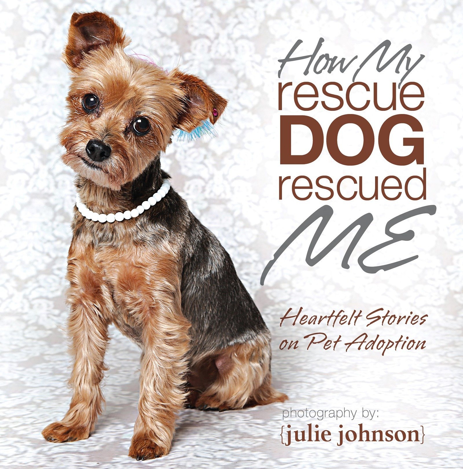 my rescue dog rescued me