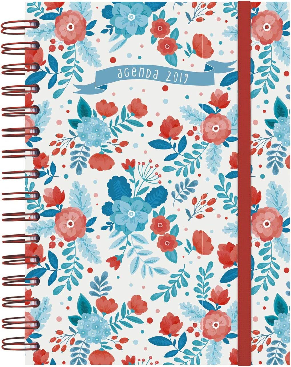 Finocam 760071319 Daily Planner 2019