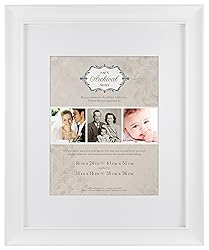 MCS 16x20 Inch Archival Frame with 11x14 Inch Mat