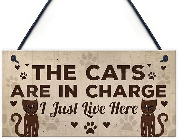 boy dog collars and leashes