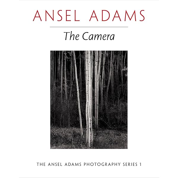 Ansel Adams at 100: Ansel Adams, John Szarkowski: 9780821228654
