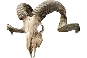 Design Toscano Corsican Ram Skull and Horns Wall Sculpture Faux Taxidermy Animal, 45.75 cm, Polyresin, Full Color