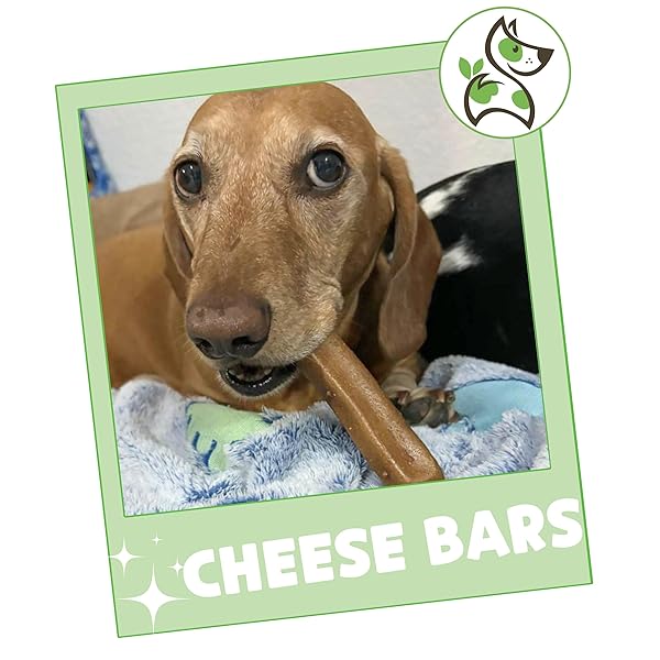 NATURE GNAWS BACON CHEESE BAR CHEWS FOR DOGS (4 COUNT) – HARD LONG LASTING FOR AGGRESSIVE CHEWERS – RAWHIDE FREE DOG CHEW BONES – YAK ALTERNATIVE