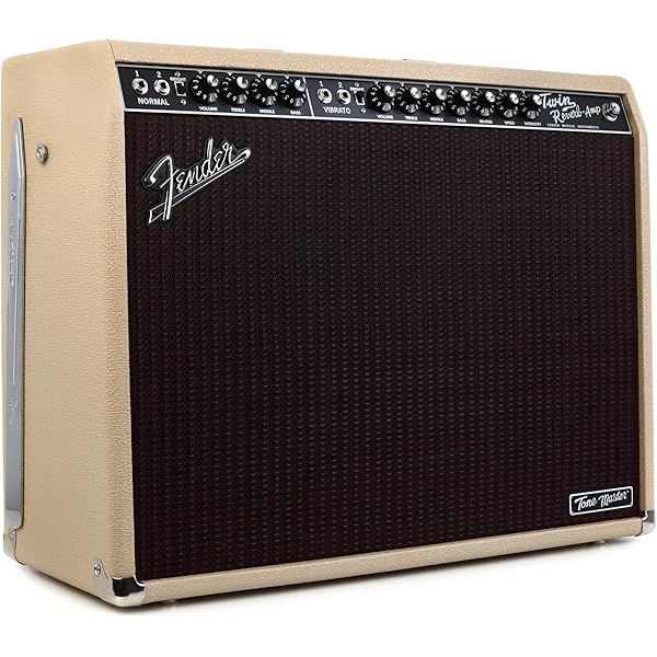 Amazon.com: Fender 65 Twin Reverb Guitar Amplifier : Musical 
