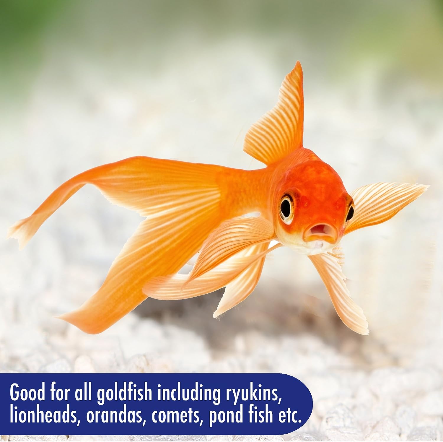 Aquarian Goldfish Food Flakes, 50g, May Vary, 50 g (Pack of 1) - Image 4