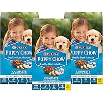 veken pet fountain website