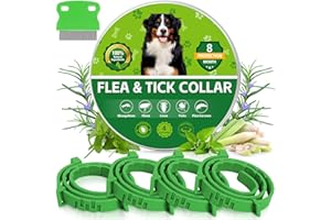 REGUOA 4 Pack Effective Flea Collar for Dogs, 25" Adjustable Natural Pet Flea and Tick Prevention Collars for Large Medium Small Dogs, Waterproof Fleas Ticks Collar for Puppies, 32 Months Protection, Green