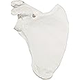 Axis Scientific Shoulder Anatomy Model of Right Scapula Bone | Shoulder Blade Model Details Skeletal Anatomy of Scapula | Scapula Model Shows Bony Landmarks and Anatomical Detail