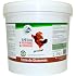 Terra Nostra Terre De Diatomée - Poudre 300 G - Utilisable En Agriculture Biologique - Pour Basse-cour, Litière, Antiparasitaire