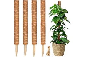 Moss Pole Plant Support Monstera | Full Length 68 inches 17''x4 | Sturdy Natural Coco Coir Moss Poles are Extendable and Gent